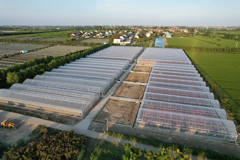 Elevated Strawberry Growing System Benefits and Applications - greenhouse cultivation system hero image by Chanscen