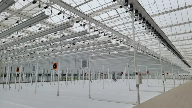485A Strawberry Growing Gutter - greenhouse product or project by Chanscen