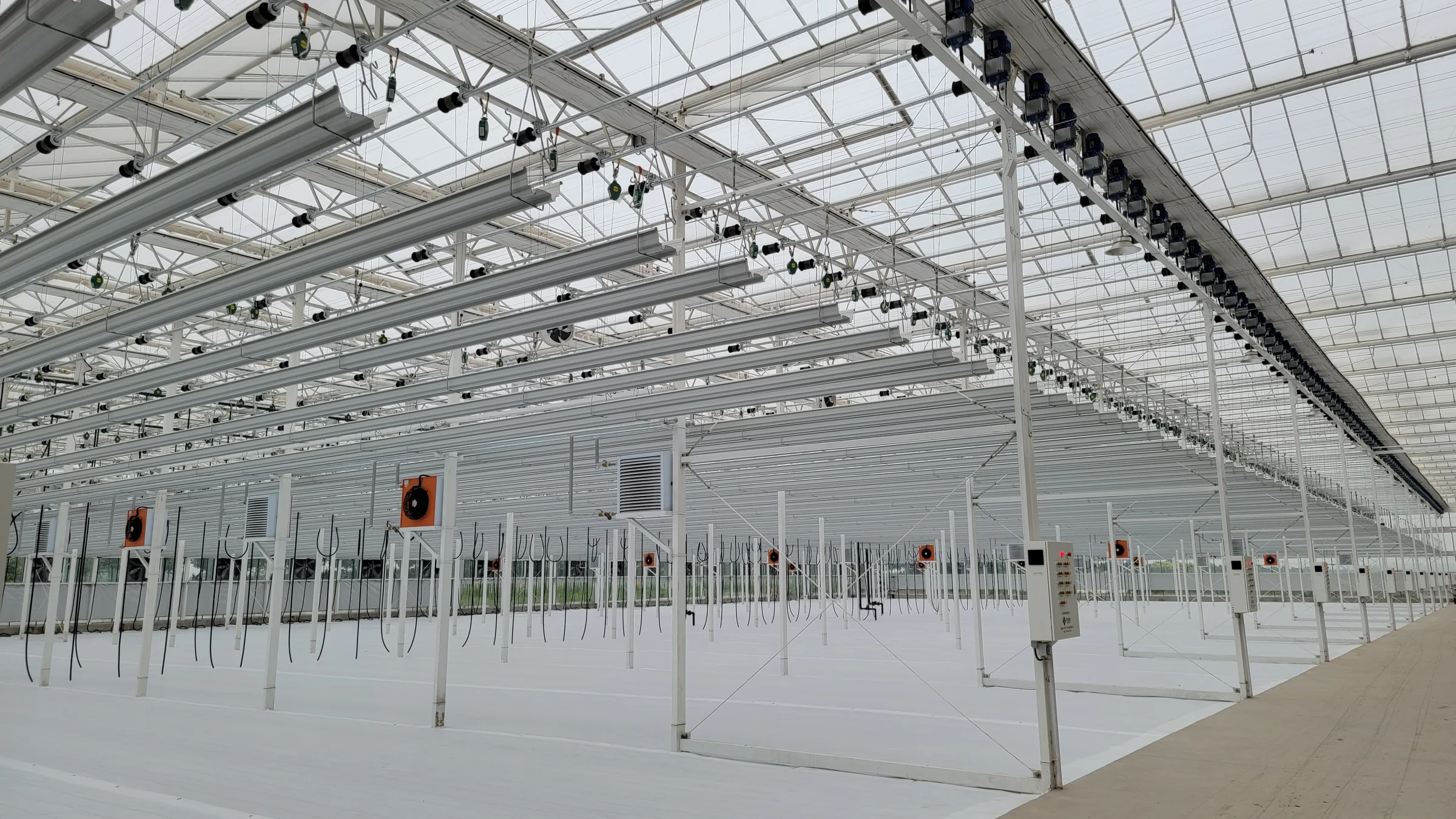 485A Strawberry Growing Gutter - greenhouse product or project by Chanscen